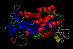 Vitronectin