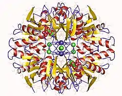 Ribose-5-phosphat-Isomerase