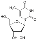 5-Methyluridin