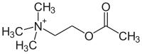 Struktur von Acetylcholin