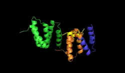 Prolyl-4-Hydroxylase