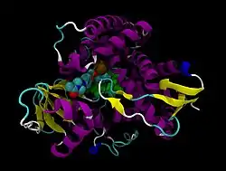 Lanosterin-Demethylase