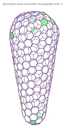 Symmetrie eines konischen Viruskapsids