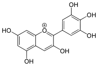 Struktur von Delphinidin
