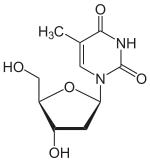 Desoxythymidin