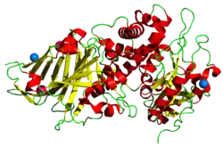 Exotoxin A (Pseudomonas aeruginosa)