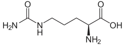 Strukturformel von Citrullin