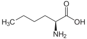 Struktur von L-Norleucin
