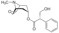 Scopolamin