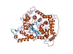 AMP-Desaminase