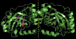 Dimeres Assemblin
