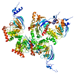 Cystic Fibrosis Transmembrane Conductance Regulator