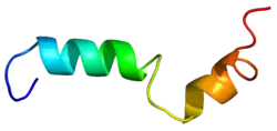 Cannabinoid-Rezeptor 2