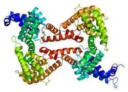 Vitamin-D-bindendes Protein