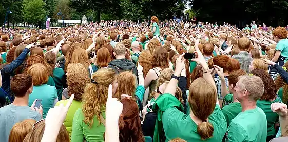 Verschiedene Schattierungen rötlichen Haares beim Rothaarigentag 2012
