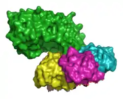 Shiga-Toxin, Untereinheit&nbsp;A (Shigella dysenteriae)
