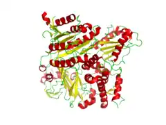 Conformation of the CopII protein complexed with the snare protein Bet1 (PDB: 1PCX).