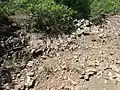 Close view of Flechado Formation at its type section.