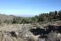 High elevation (8,100 feet (2,500&nbsp;m)) campground near summit.