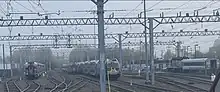 Multiple trains at Long Branch Station Yard