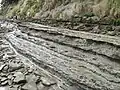 Sandstone and mudstone layers