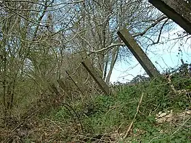 Anti-tank posts each about 8 inches (20&nbsp;cm) square and projecting about 6 feet (1.8&nbsp;m), made from reinforced concrete, at the top of the eastern side of a steep railway cutting. They were intended to stop enemy tanks climbing the steep side of the cutting.