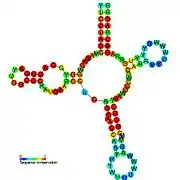 SAM riboswitch: Secondary structure for the riboswitch marked up by sequence conservation. Family RF00162.