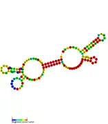 RsaH: Secondary structure of RsaH. Rfam family RF01821