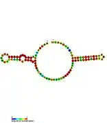 sraA: Secondary structure taken from the Rfam database. Family RF02029