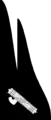 CC.NN troops