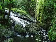 Bieberbachschlucht