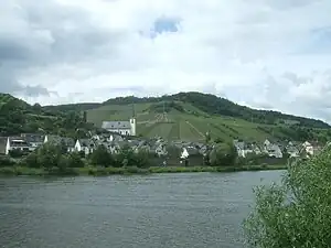 Briedel an der Mosel