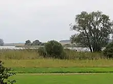 Möweninsel Buhnenwerder