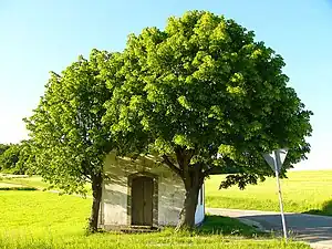 Flurkapelle westlich von Unnersdorf