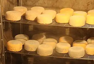 Grottenkäse