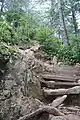 Ein Stück vom Grouse Grind