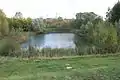 Gucin Gaj