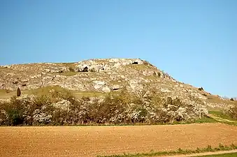 Ofnethöhlen, Holheim