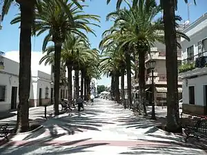 In der Fußgängerzone "Paseo de las palmeras"