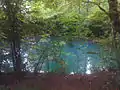 Der Kainspring