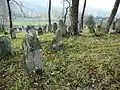 jüdischer Friedhof