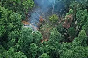 Provinz Koh Kong
