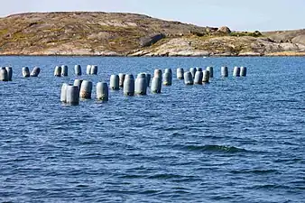 Zwischen den Inseln werden Muscheln gezüchtet