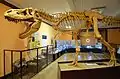 Evolutionsmuseum