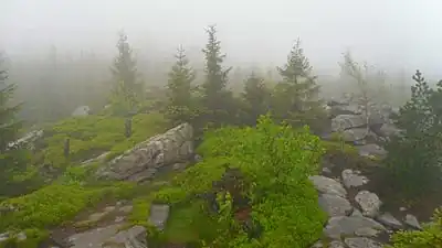 Auf dem Ochsenkopf bei Nebel