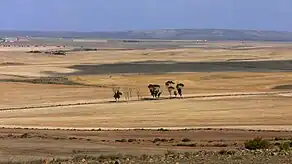 Landschaft in Overberg