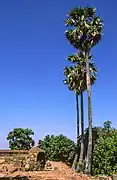 Die Türme des Phnom Krom