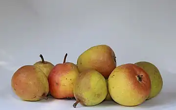 Büschelibirnen (poire à botzi)