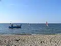 Windsurfen