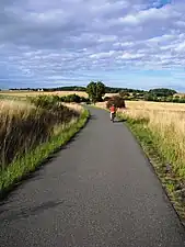 Radweg bei Heubsch